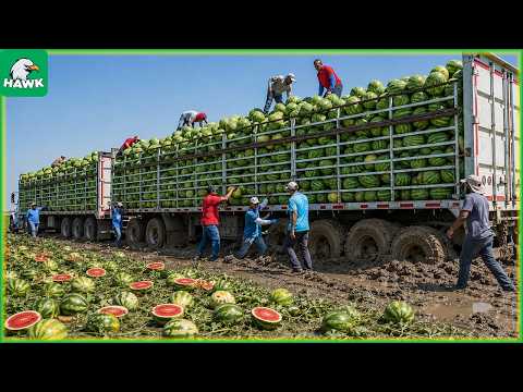 51+ Record-Breaking Mega Harvests 💥 You Won’t Believe How Massive Amounts Are Harvested