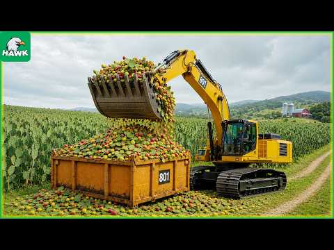 51+ Amazing Machines Operating at an Incredible Level #2