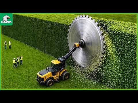 50+ Biggest Fishing Catches Ever Recorded – Millions of Tons of Seafood Harvested Like This