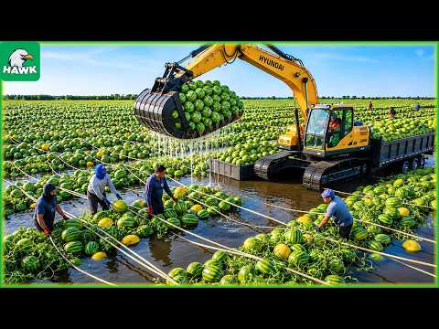 99+ Record-Breaking Harvests 💥 You Won’t Believe How Much They Harvest | Farming Technology