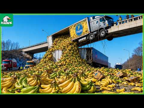100+ Mind-Blowing Harvest Moments That Will Leave You Speechless | Farming Technology